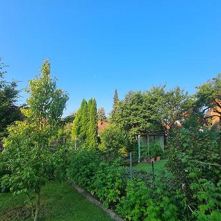 Suedharzperle Apartamento Bad Lauterberg Exterior foto