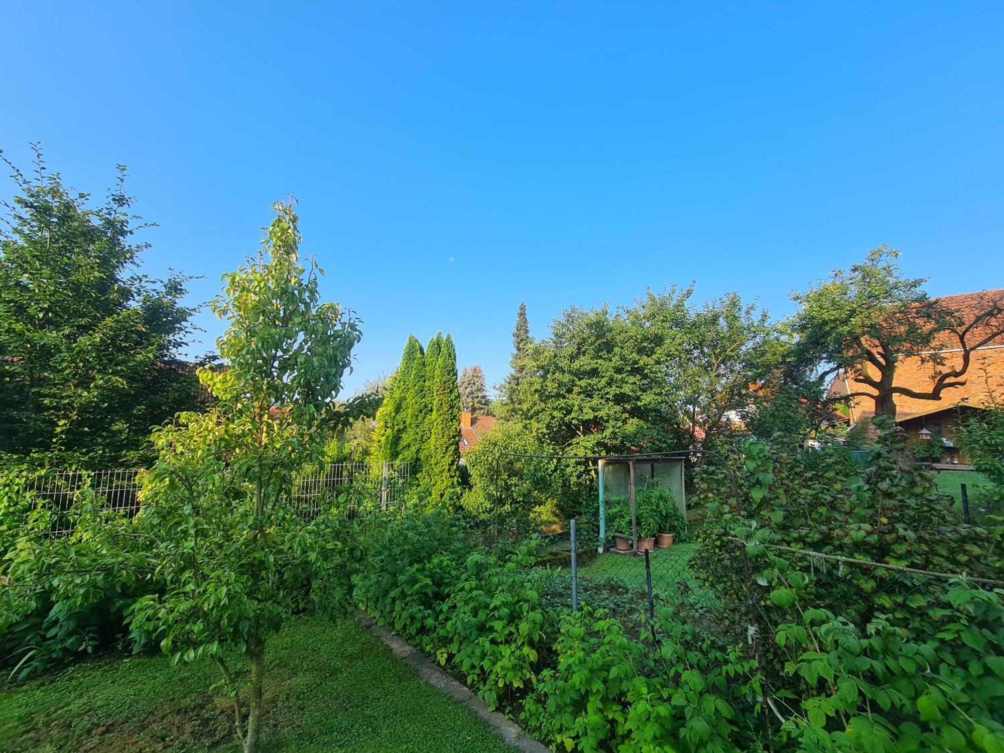 Suedharzperle Apartamento Bad Lauterberg Exterior foto