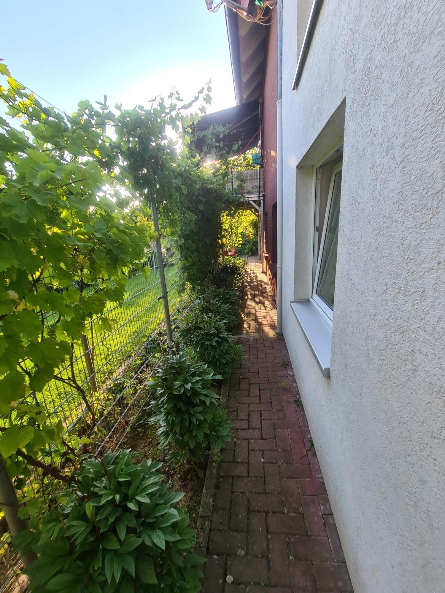 Suedharzperle Apartamento Bad Lauterberg Exterior foto